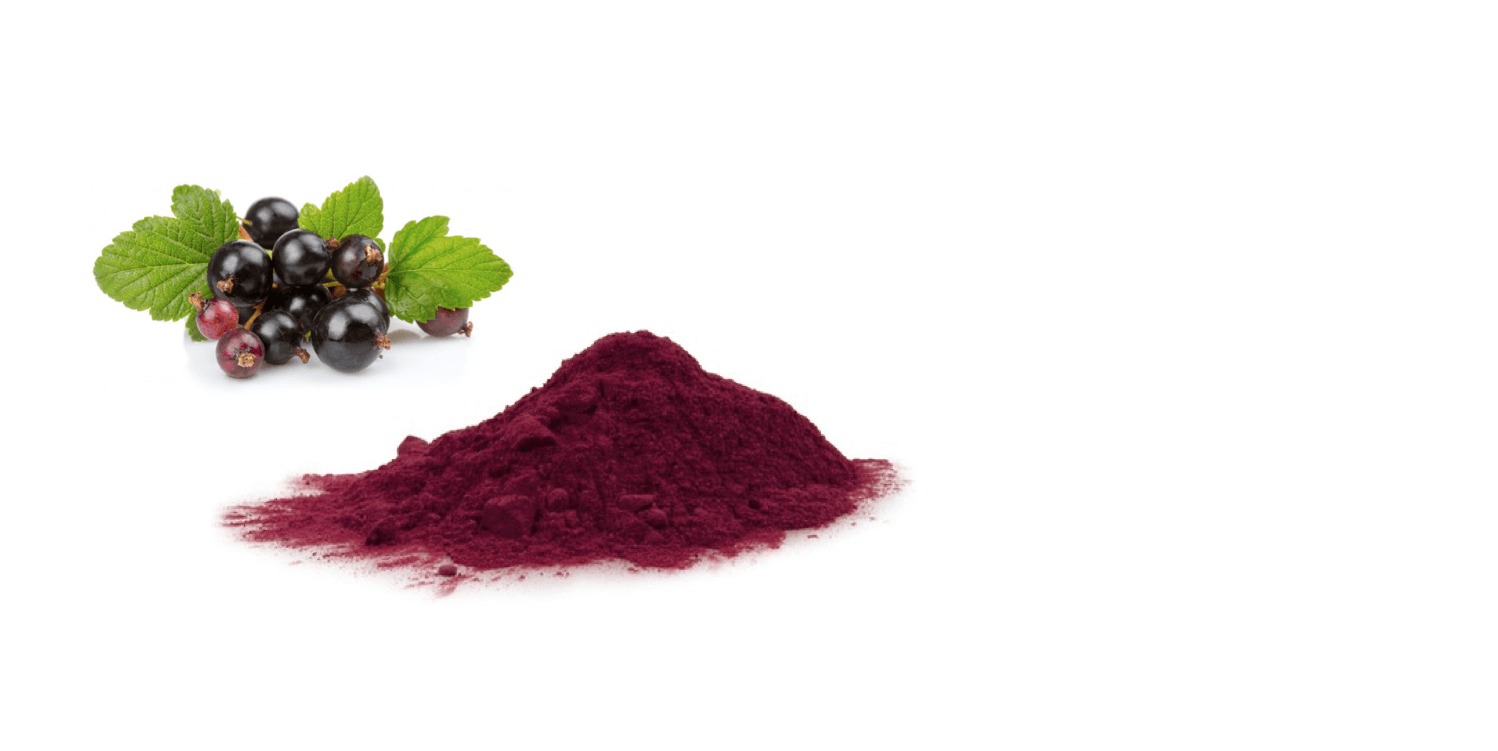 Fresh blackcurrants and blackcurrant extract powder containing anthcyanins | Science + Berries