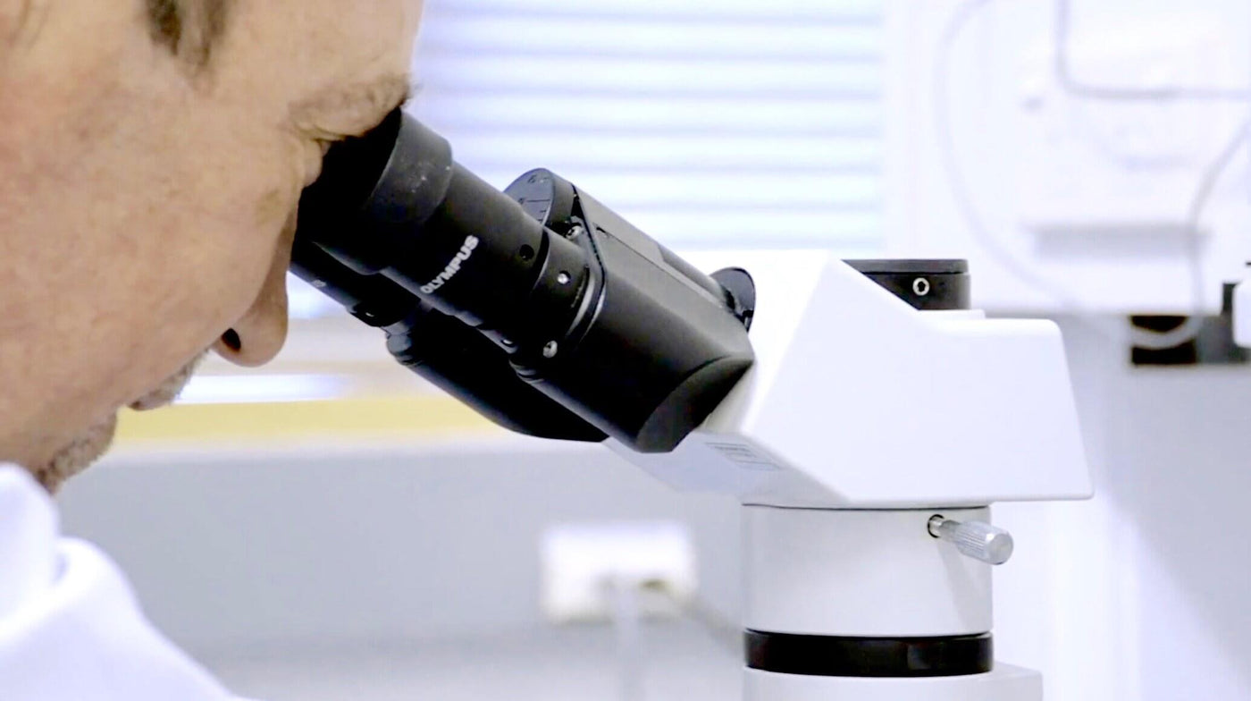 Scientist driven by research looking through microscope | Science + Berries